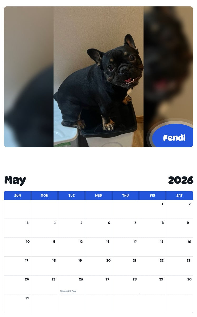 2026 - 2027 Fendi - Pawidols Pet Calendar