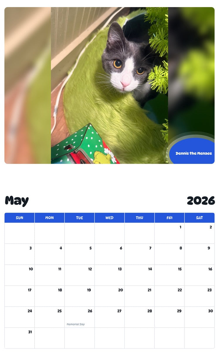 2026 - 2027 Dennis the Menace - Pawidols Pet Calendar
