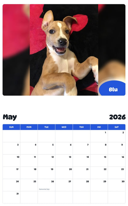2026 - 2027 Blu - Pawidols Pet Calendar