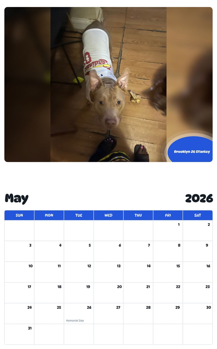 2026 - 2027 Brooklyn JB Stanley - Pawidols Pet Calendar