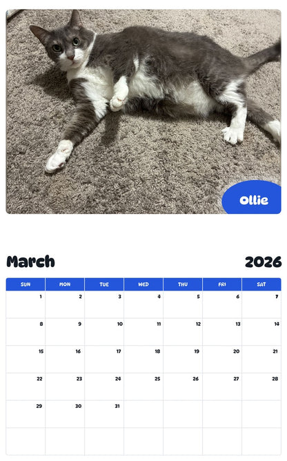 November 2025 - October 2026 Ollie - Pawidols Pet Calendar