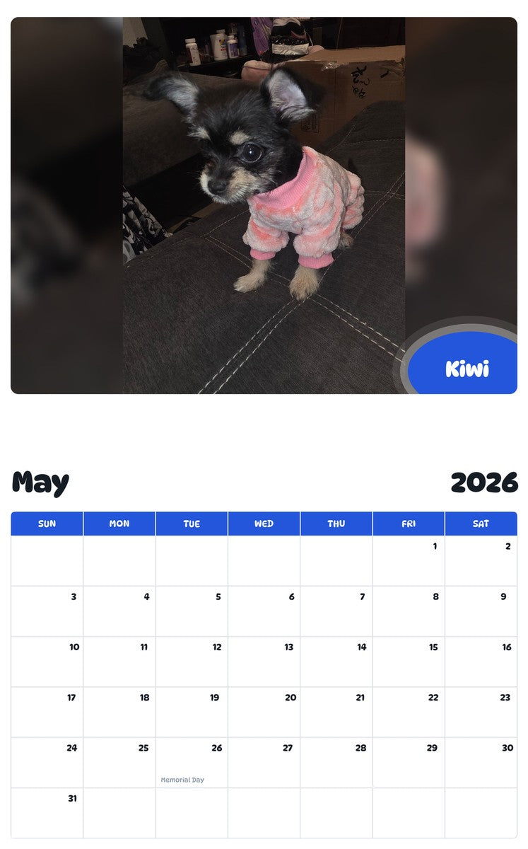 2026 - 2027 Kiwi - Pawidols Pet Calendar