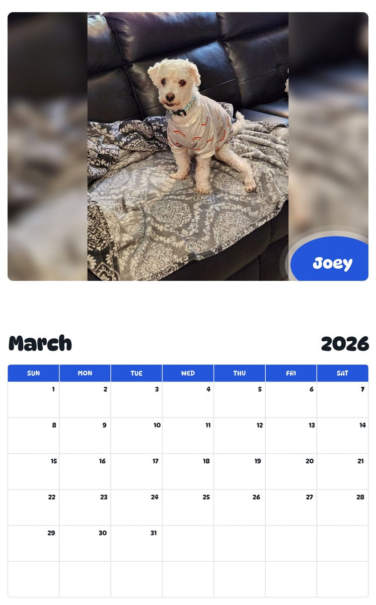 November 2025 - October 2026 Joey - Pawidols Pet Calendar