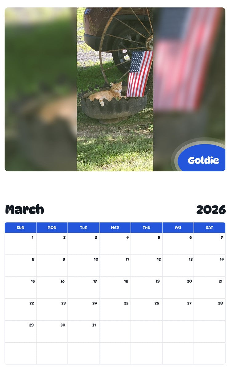 November 2025 - October 2026 Goldie - Pawidols Pet Calendar