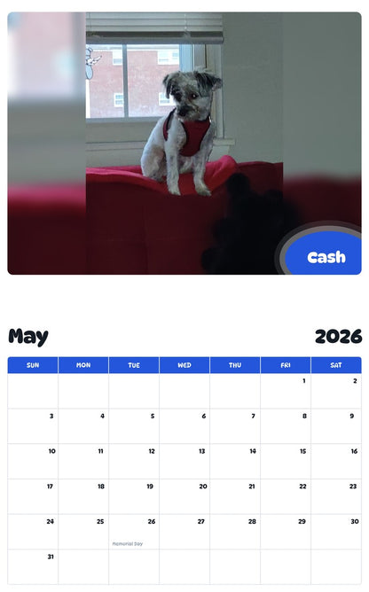 2026 - 2027 Cash - Pawidols Pet Calendar