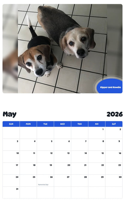 2026 - 2027 Kipper and Rowdie - Pawidols Pet Calendar