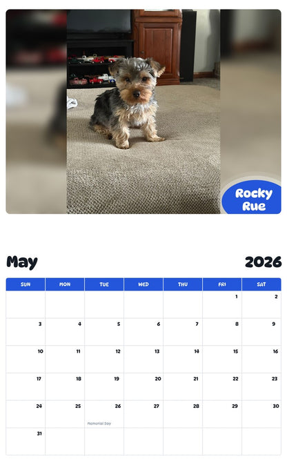 2026 - 2027 Rocky Rue - Pawidols Pet Calendar