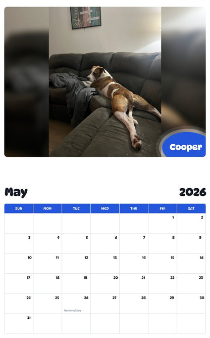 2026 - 2027 Cooper - Pawidols Pet Calendar