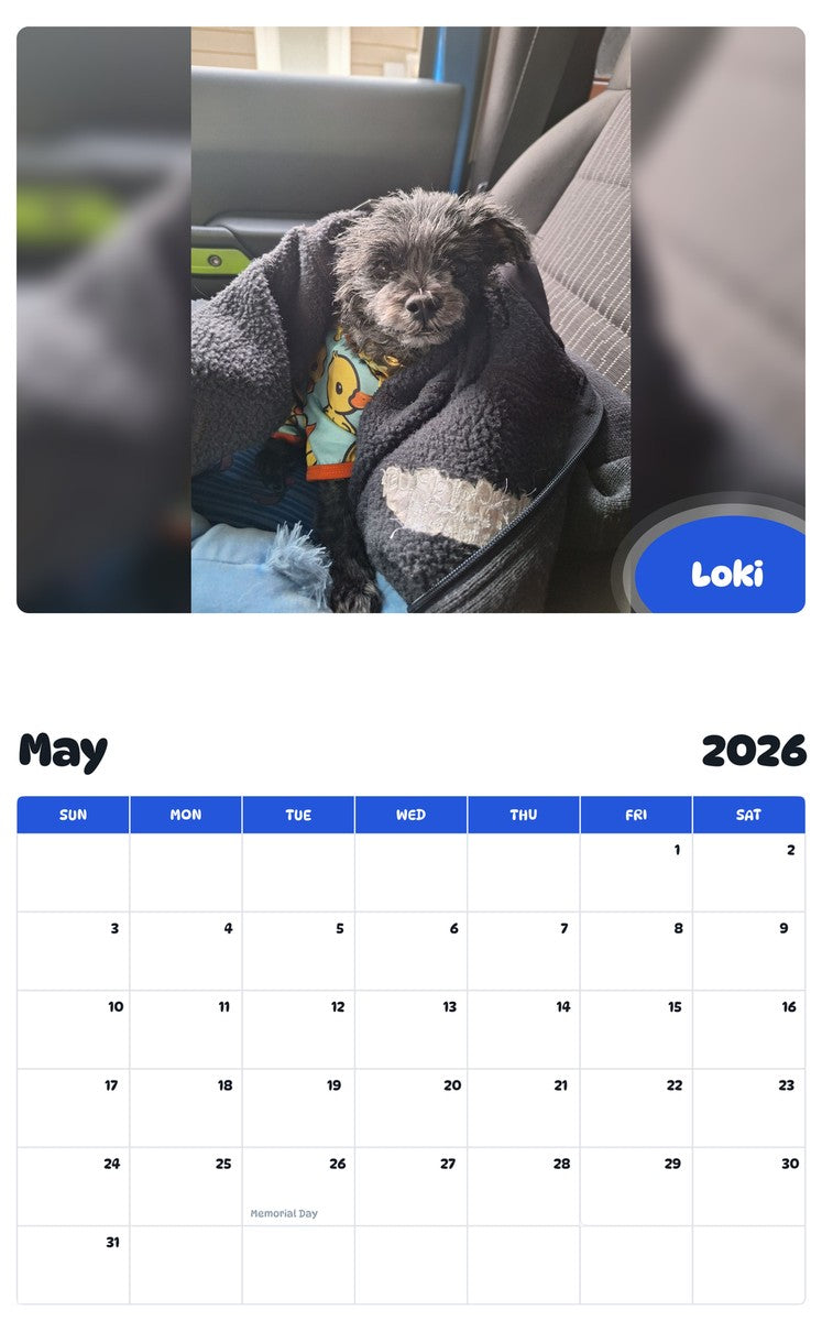 2026 - 2027 Loki - Pawidols Pet Calendar