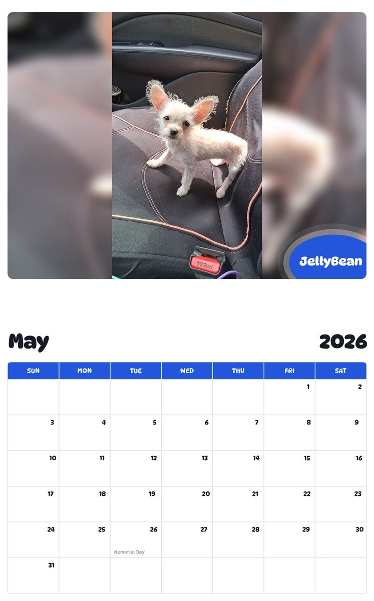 2026 - 2027 JellyBean - Pawidols Pet Calendar