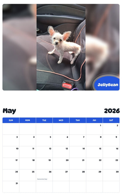 2026 - 2027 JellyBean - Pawidols Pet Calendar