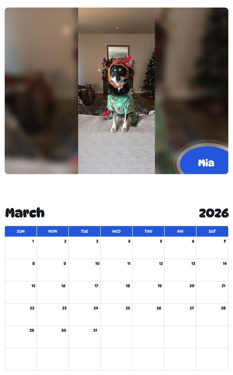 November 2025 - October 2026 Mia - Pawidols Pet Calendar