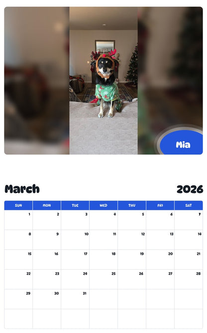 November 2025 - October 2026 Mia - Pawidols Pet Calendar