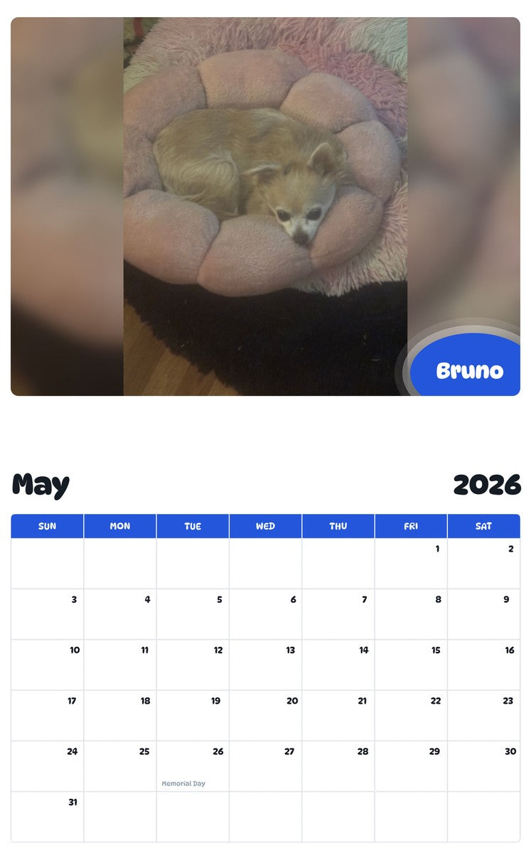 2026 - 2027 Bruno - Pawidols Pet Calendar