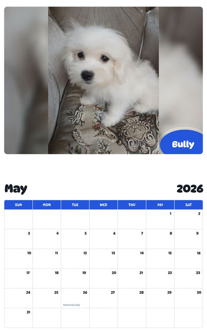 2026 - 2027 Bully - Pawidols Pet Calendar