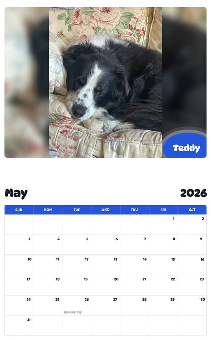 2026 - 2027 Teddy - Pawidols Pet Calendar