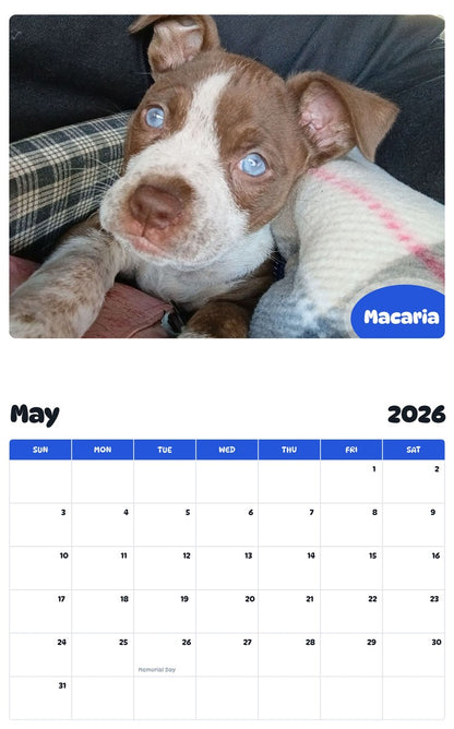 2026 - 2027 Macaria - Pawidols Pet Calendar