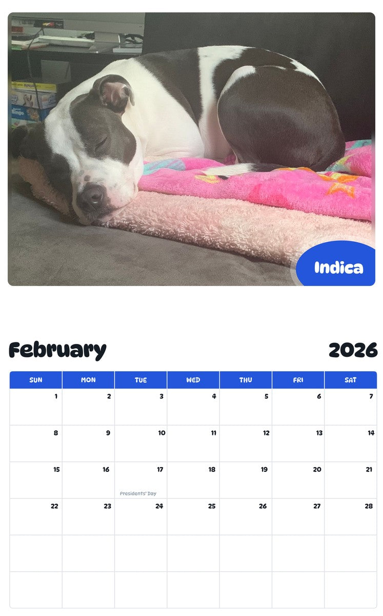 November 2025 - October 2026 Indica - Pawidols Pet Calendar