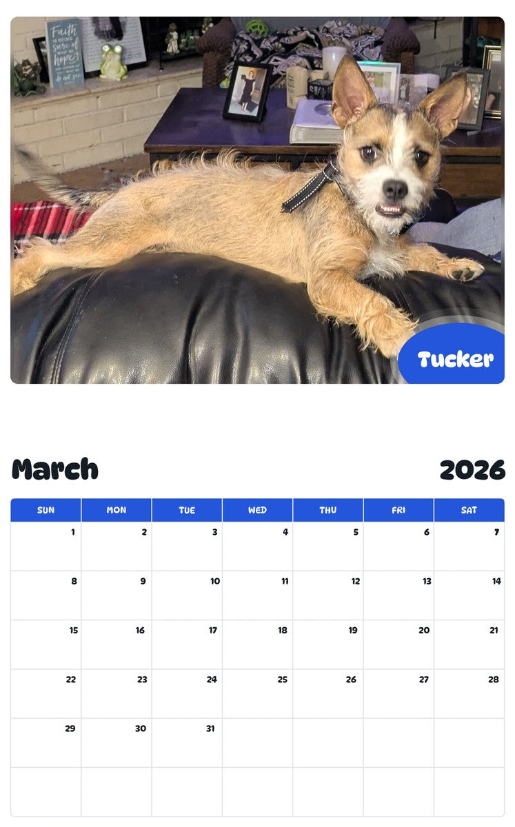 November 2025 - October 2026 Tucker - Pawidols Pet Calendar