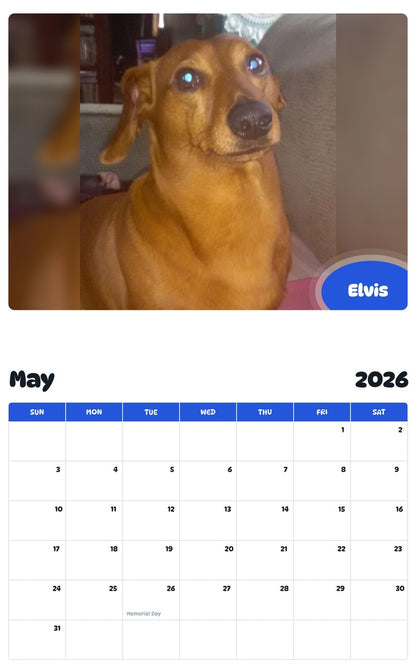 2026 - 2027 Elvis - Pawidols Pet Calendar