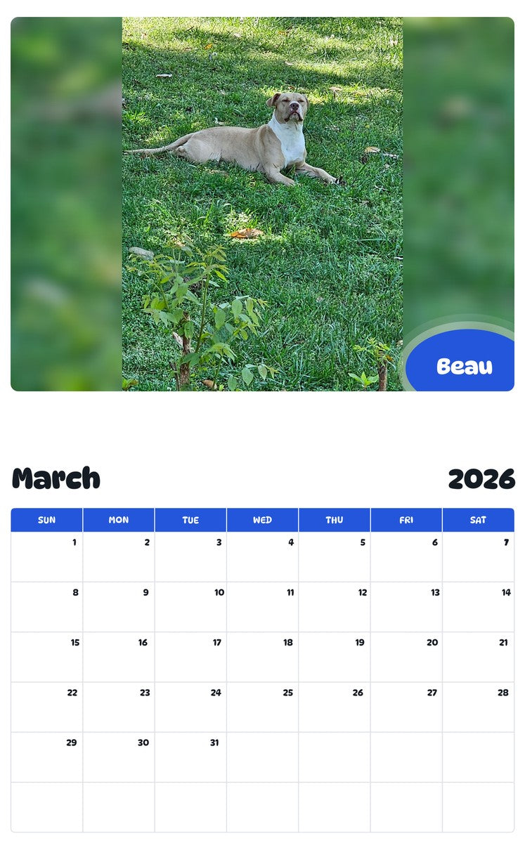 November 2025 - October 2026 Beau - Pawidols Pet Calendar