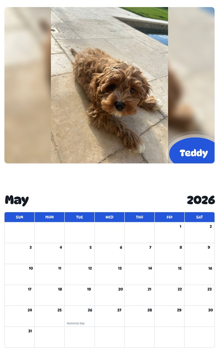 2026 - 2027 Teddy - Pawidols Pet Calendar