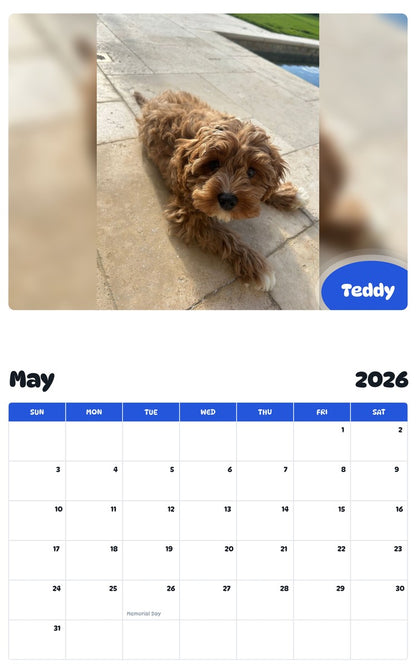 2026 - 2027 Teddy - Pawidols Pet Calendar