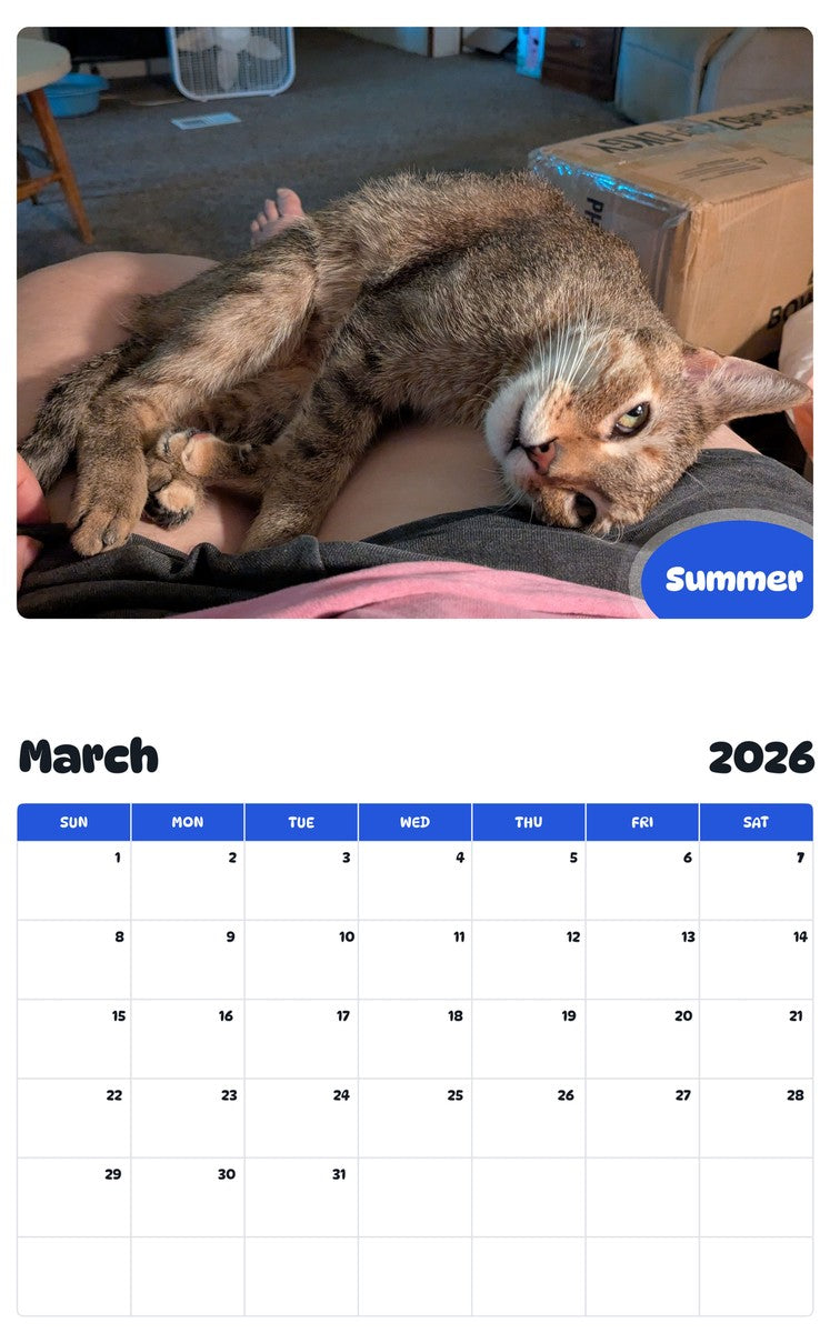November 2025 - October 2026 Summer - Pawidols Pet Calendar