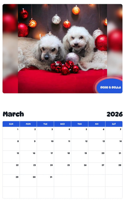 November 2025 - October 2026 BEAU & BELLA - Pawidols Pet Calendar