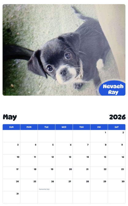 2026 - 2027 Nevaeh Ray - Pawidols Pet Calendar