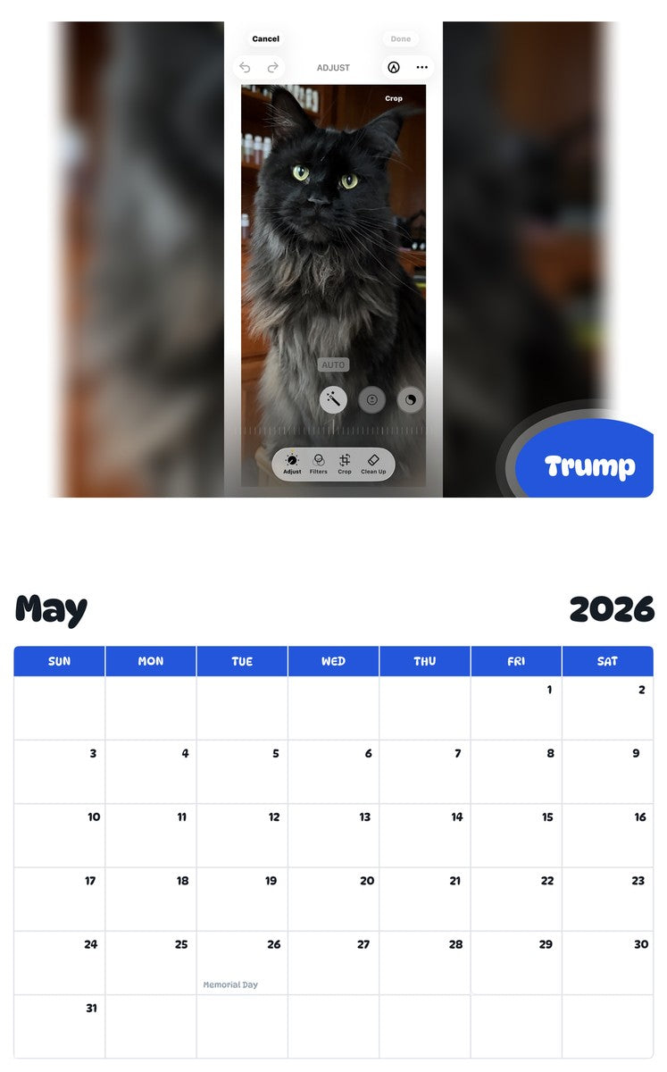 2026 - 2027 Trump - Pawidols Pet Calendar