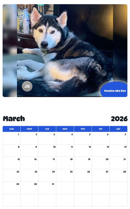 November 2025 - October 2026 Voodoo aka Boo - Pawidols Pet Calendar