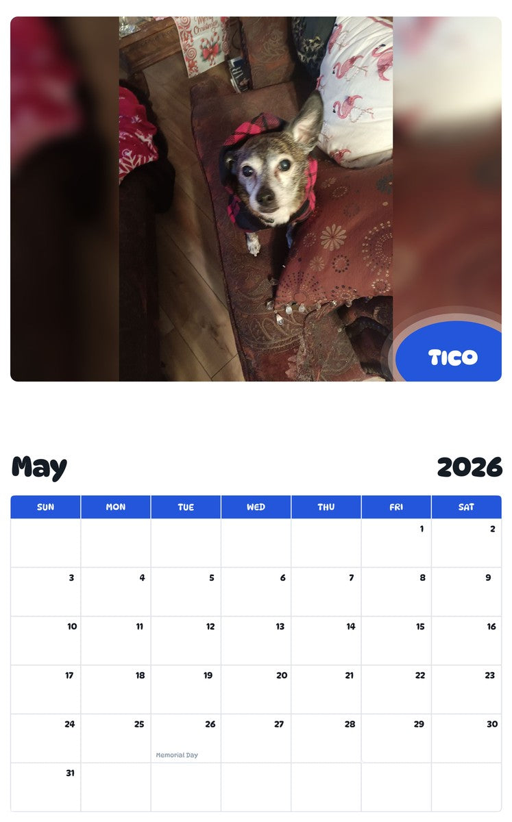 2026 - 2027 TICO - Pawidols Pet Calendar