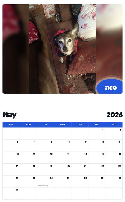 2026 - 2027 TICO - Pawidols Pet Calendar