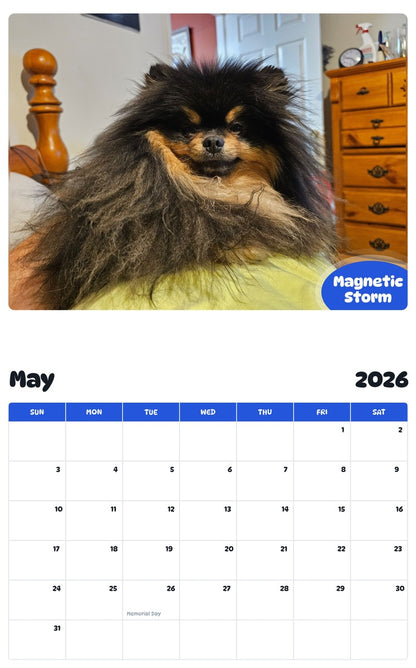 2026 - 2027 Magnetic Storm - Pawidols Pet Calendar