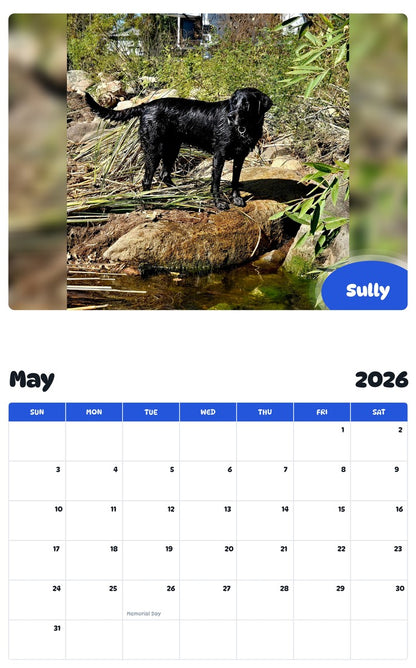 2026 - 2027 Sully - Pawidols Pet Calendar