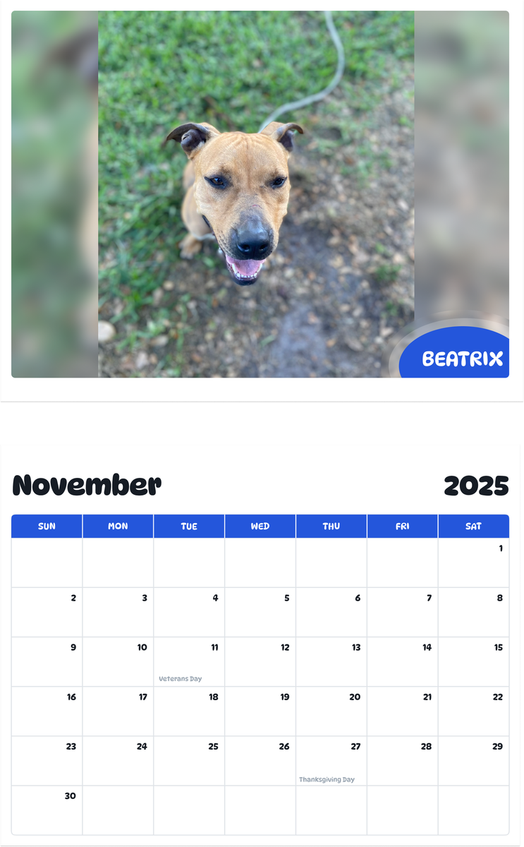July 2025 - June 2026 Beatrix - Pawidols Pet Calendar