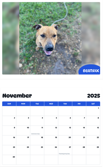 July 2025 - June 2026 Beatrix - Pawidols Pet Calendar