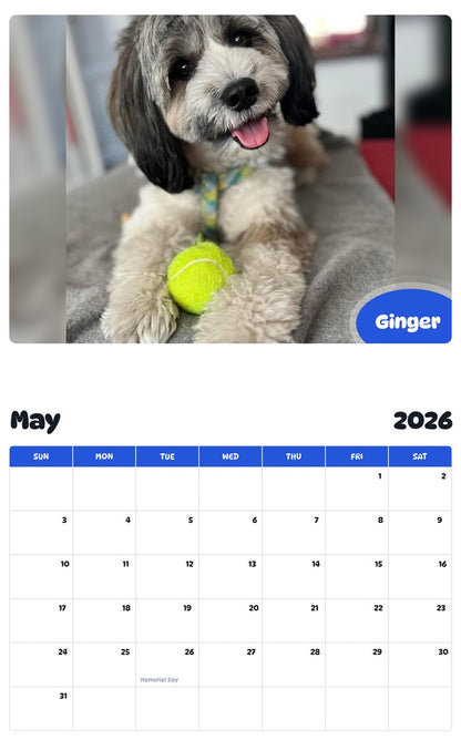 2026 - 2027 Ginger - Pawidols Pet Calendar