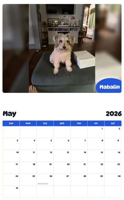 2026 - 2027 Mabalin - Pawidols Pet Calendar