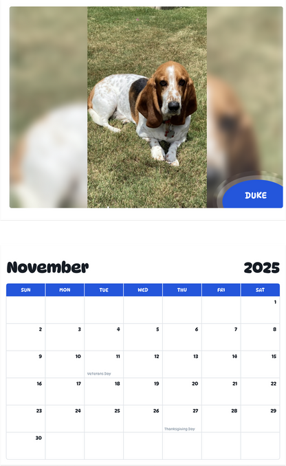 July 2025 - June 2026 Duke - Pawidols Pet Calendar