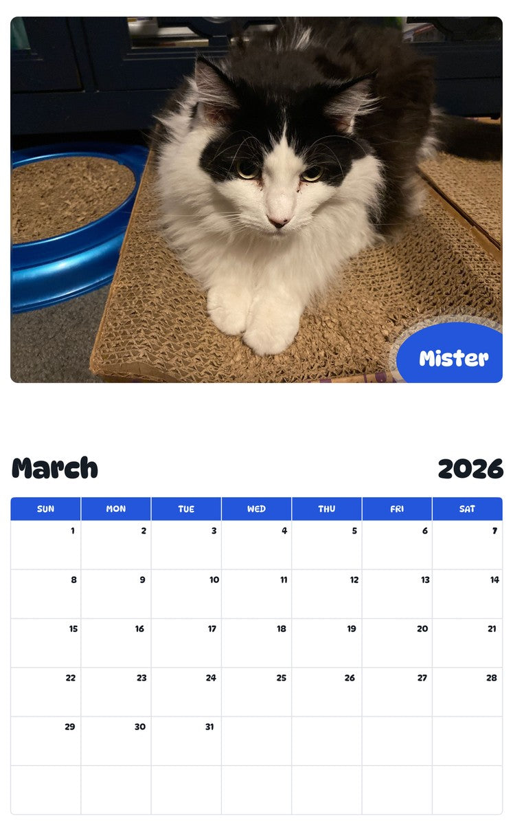 November 2025 - October 2026 Mister - Pawidols Pet Calendar