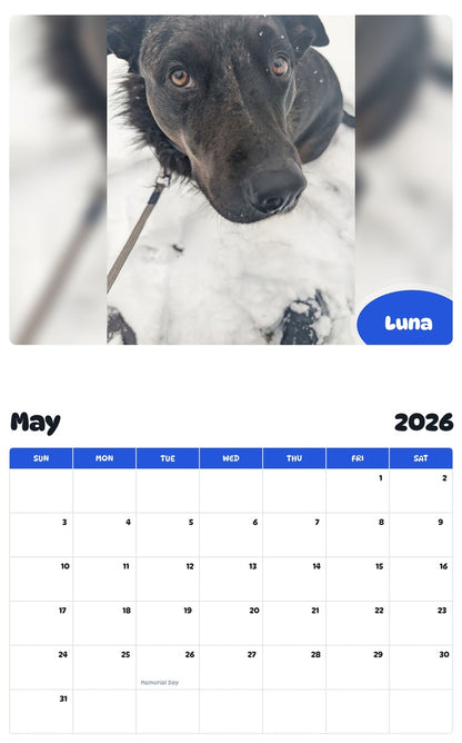 2026 - 2027 Luna - Pawidols Pet Calendar