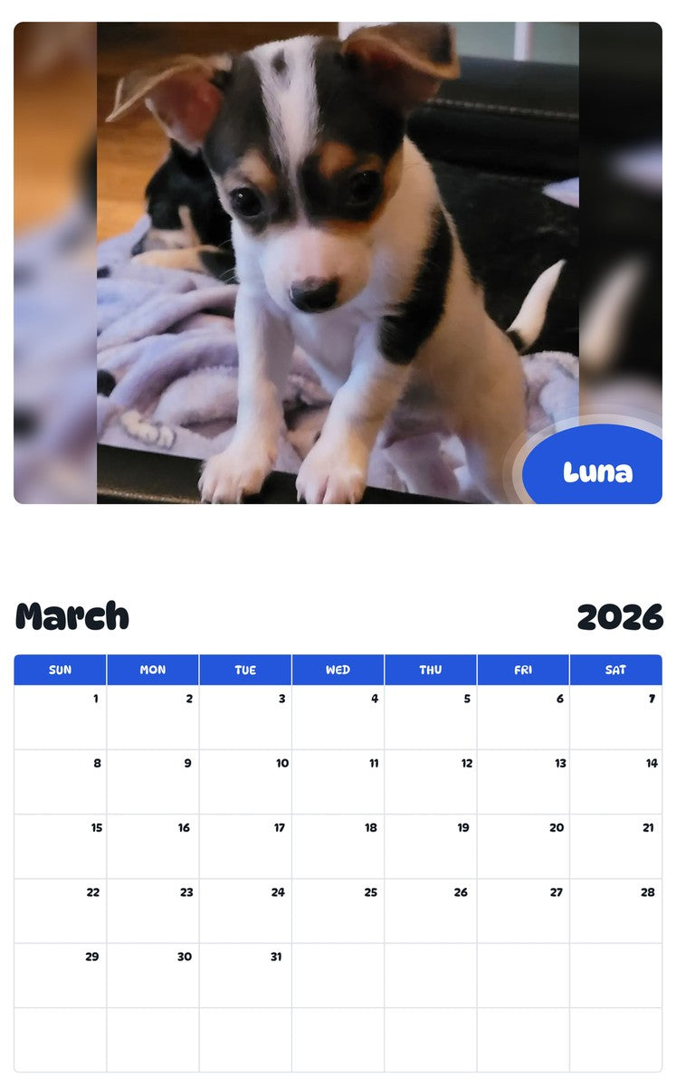 November 2025 - October 2026 Luna - Pawidols Pet Calendar