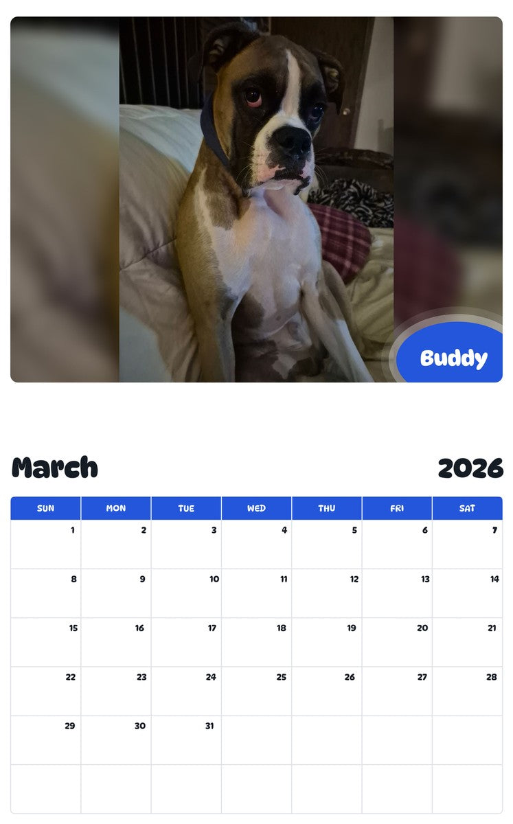 November 2025 - October 2026 Buddy - Pawidols Pet Calendar