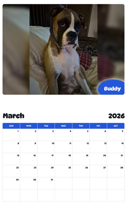 November 2025 - October 2026 Buddy - Pawidols Pet Calendar
