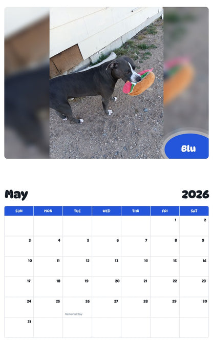 2026 - 2027 Blu - Pawidols Pet Calendar