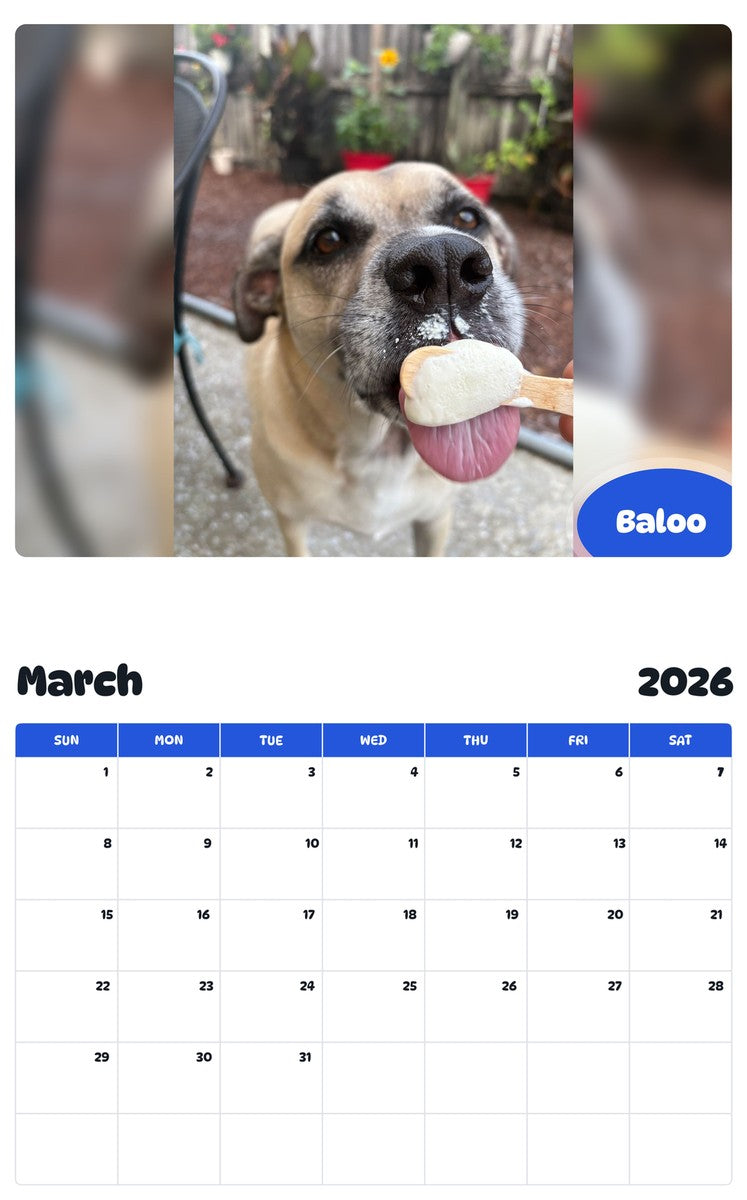 November 2025 - October 2026 Baloo - Pawidols Pet Calendar