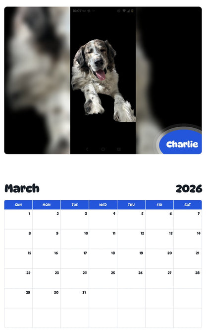November 2025 - October 2026 Charlie - Pawidols Pet Calendar