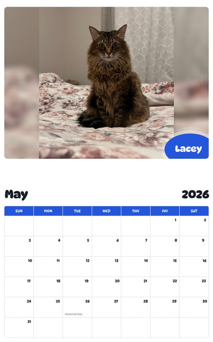 2026 - 2027 Lacey - Pawidols Pet Calendar
